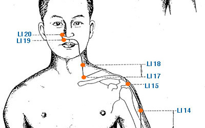 Meridiano Intestino Crasso, eliminare per rinnovare.