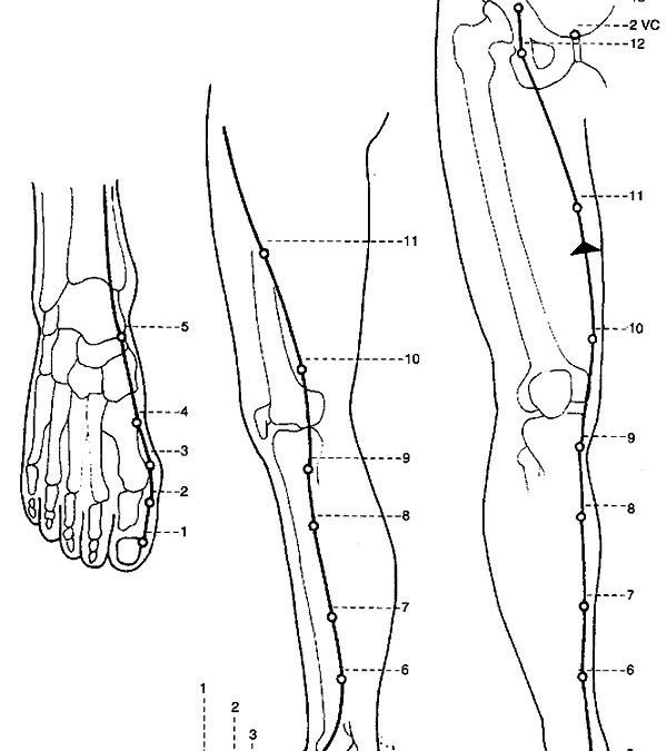 Meridiano di Milza-Pancreas