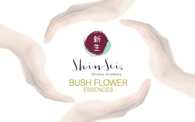 Shiatsu e Fiori di Bach