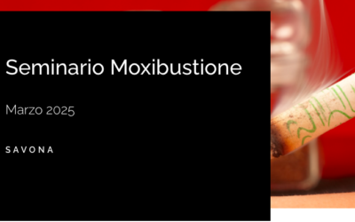 Savona | Seminario Moxibustione