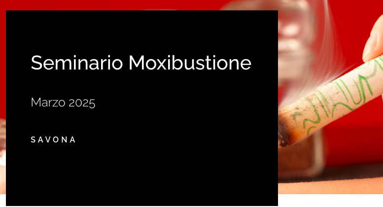 Savona | Seminario Moxibustione