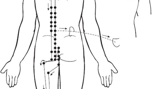 Meridiano di Vescica Urinaria